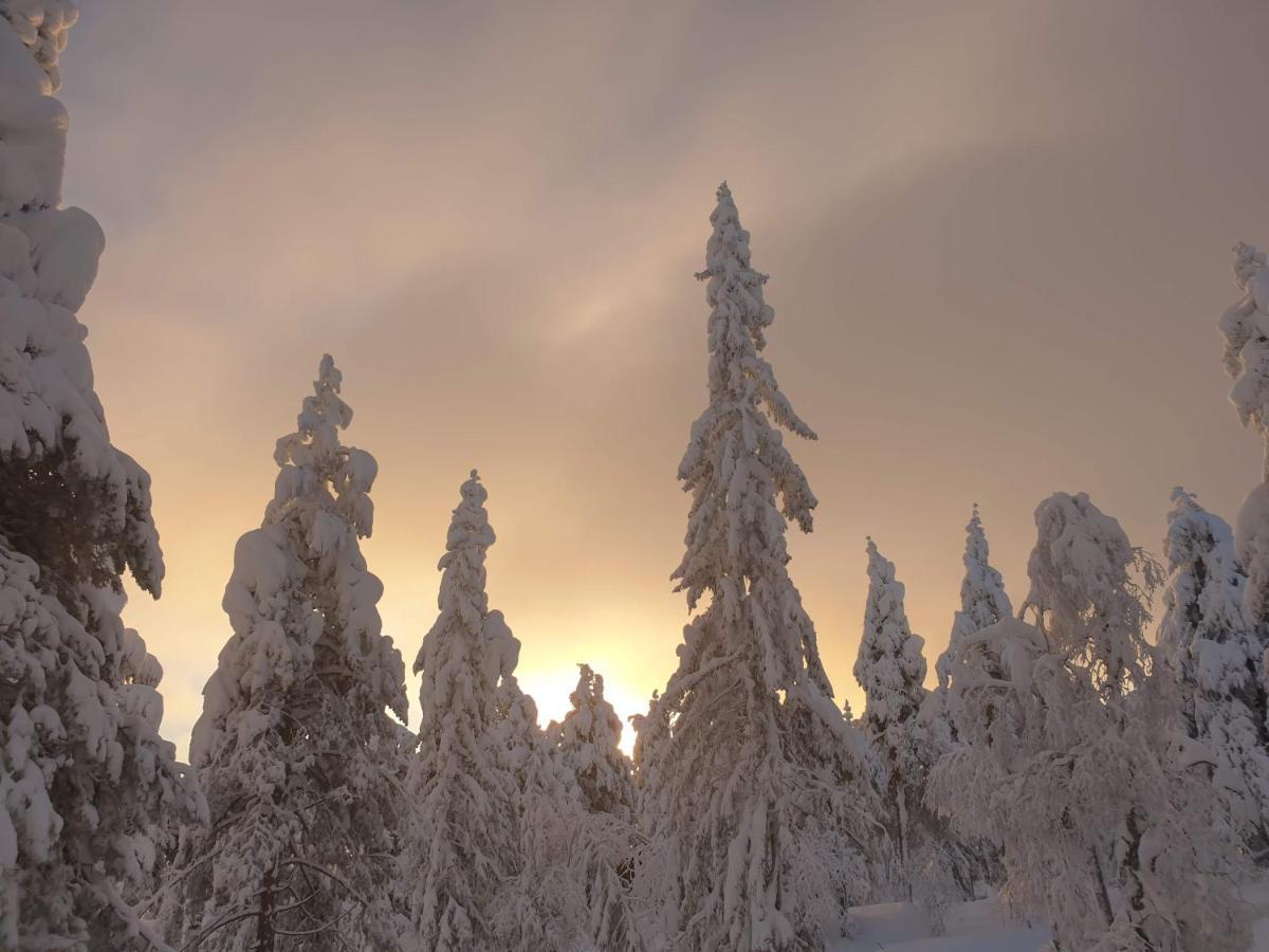 Ro I Sjelen. Hytte Til Leie Pa Skrim. Kongsberg Exterior photo